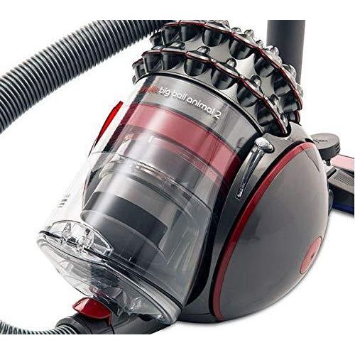 avis dyson big ball animal 2 plus
