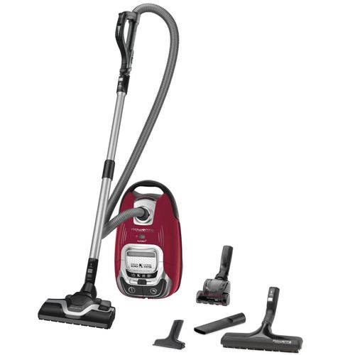 meilleur aspirateur traineau animaux
