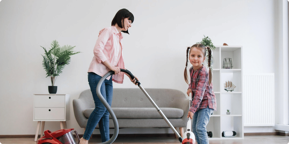 Où acheter son aspirateur traîneau ?